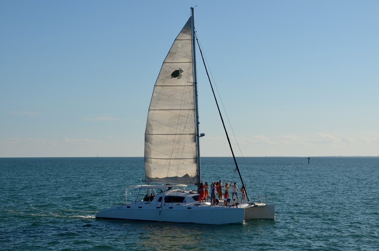 ocean 50 catamaran